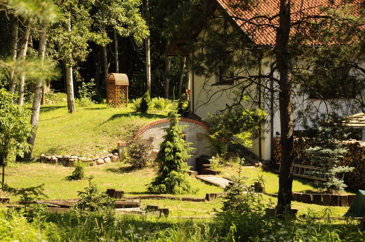 Вилла Lesna Polana Старе-Яблонки Экстерьер фото
